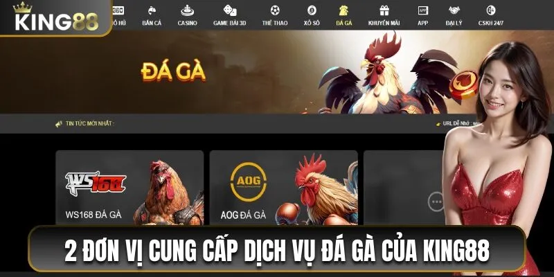 2 đơn vị cung cấp dịch vụ đá gà cho nhà cái